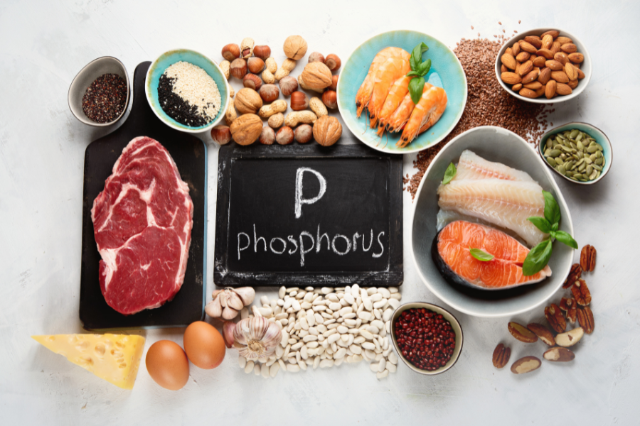 phosphorus-rich foods